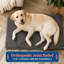 Conçu pour les grands chiens, ce lit orthopédique gris en mousse à mémoire de forme allie confort, durabilité et facilité d'entretien (lavable à la machine).