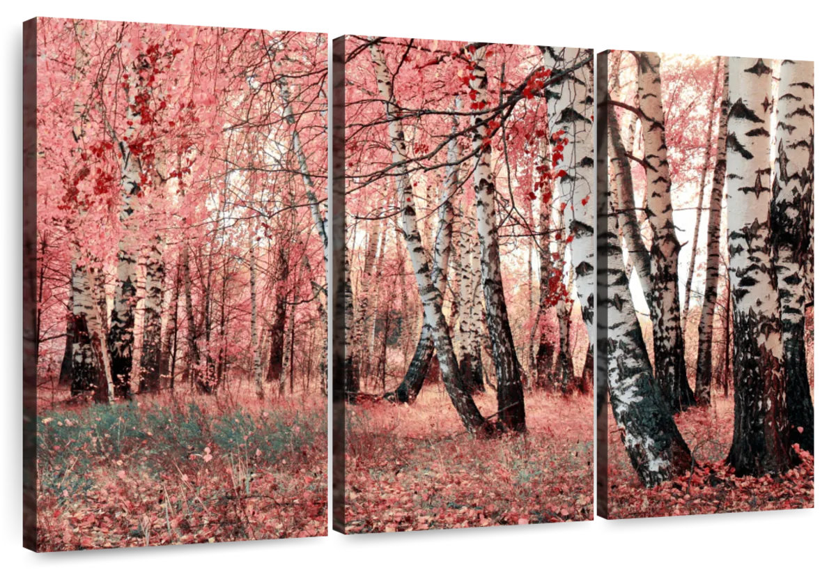 Millwood Pines Alvord Pink Birch Forest | Wayfair