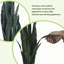Plante de serpent artificielle verte 3 pi | Fausse plante sansevieria | Décoration d'intérieur classique pour chambre à coucher-573965549