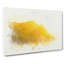 Bird Above the Channel Islands in Abstract - Wrapped Canvas-55313873