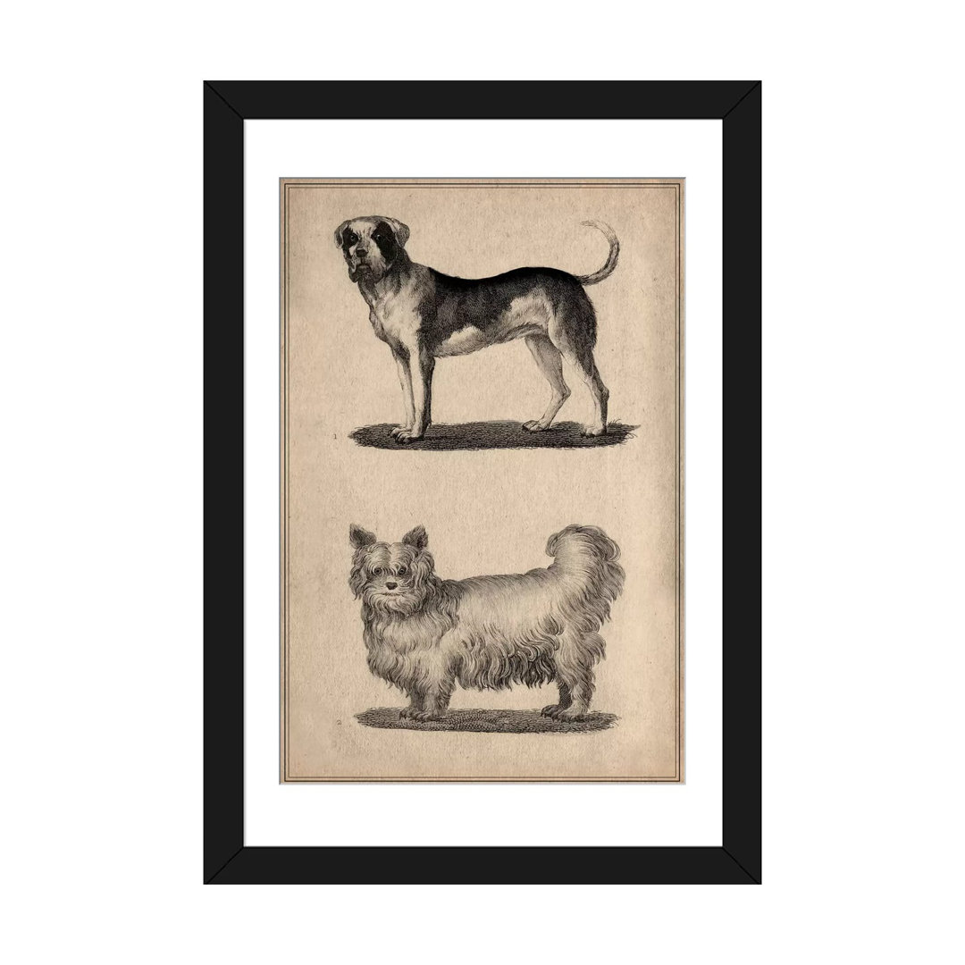 Animal Art Vintage French Dogs Painting Print on Wrapped Canvas iCanvas Mat