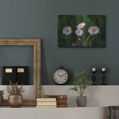 'Leucanthemum' by Rick Berk Metal Wall