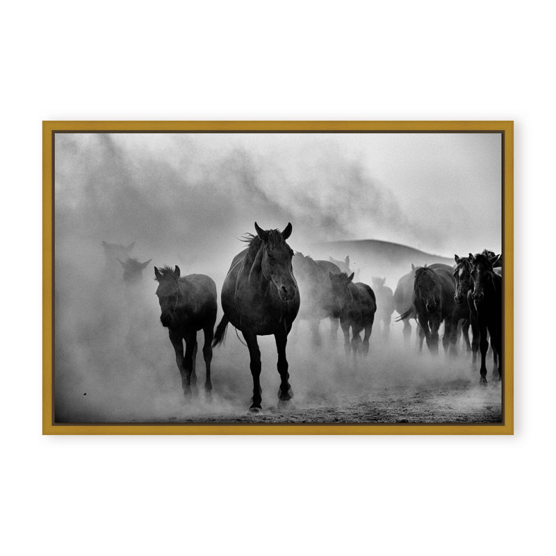 Nature Inspired Untitled by  - Picture Frame Photograph on Paper, 32" H x 48" W x 1.125" D, Black, Framed Matted Print