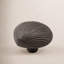 CK Series Knob-12829607