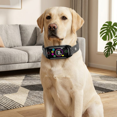 Collier de dressage anti-aboiement rechargeable pour grands et petits chiens, 8 niveaux de sensibilité, modes de bips / vibrations, correction automatique, imperméable IP67