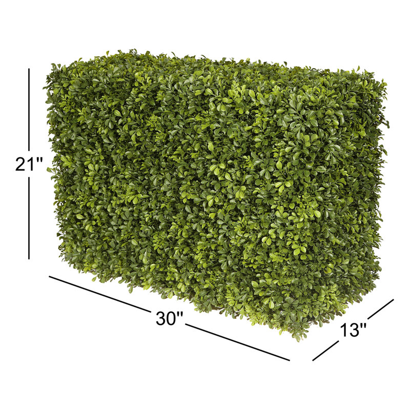 Hedge, 21" H x 13" W x 30" D