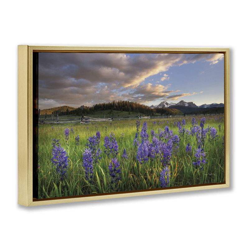  Toile flottante lavande Bloom Meadows par Alan Majchrowicz, H 21 po x l 31 po, Cadre flottant métallique doré