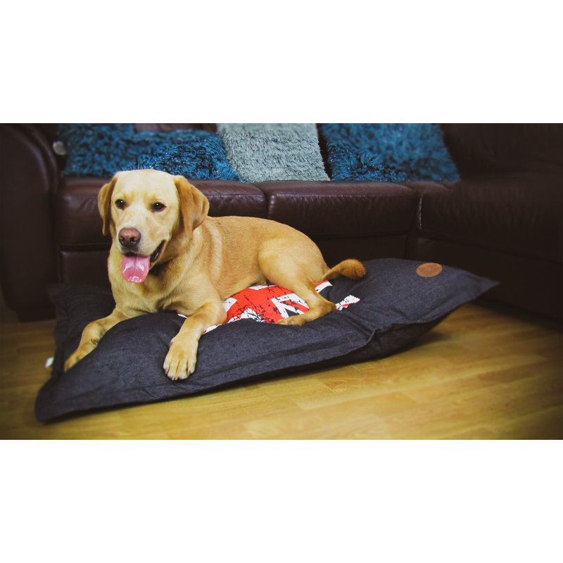 Blanchard Pet Bed, 90cm W x 60cm D x 3cm H