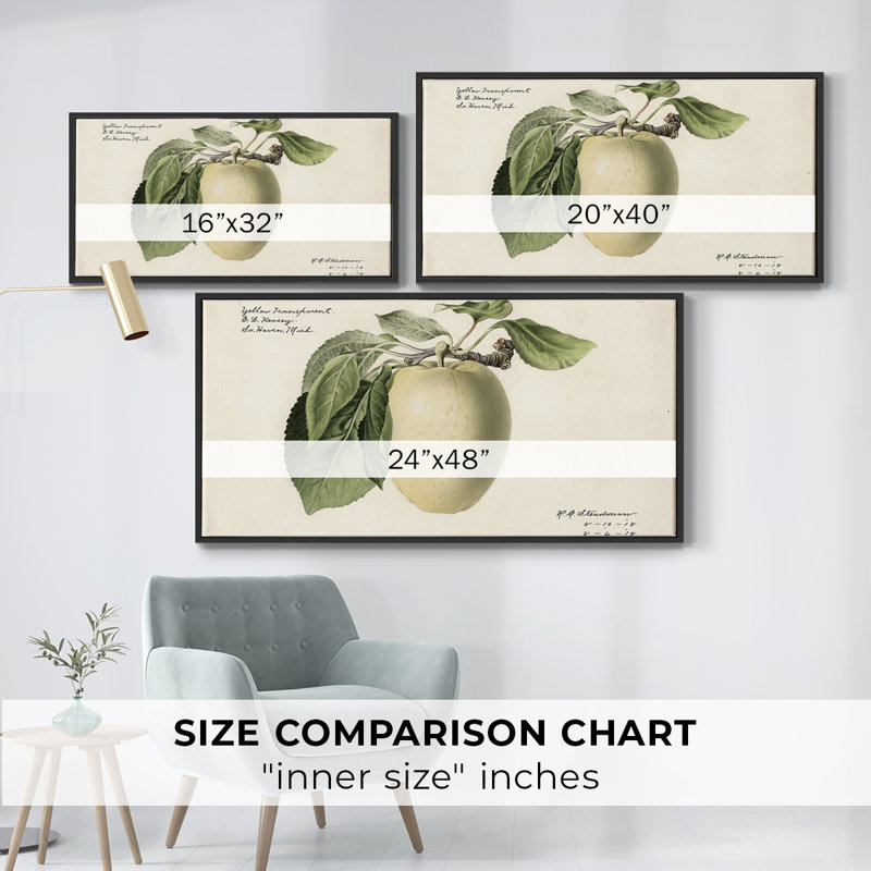 Botanical Series-CDXLIX- Toile tendue avec châssis tendue, prête à être accrochée, H 21 po x l 41 po, Noir