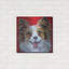 «Happy Papillon» par Carolee Vitaletti-1548796693