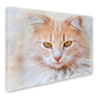 Wrapped Canvas Wall Art - Jai Johnson 'Orange Tabby Cat Portrait' Wall Art for Living Room, Bedroom, or Office Décor - 18x24