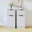 Lanice End Table-1718290594