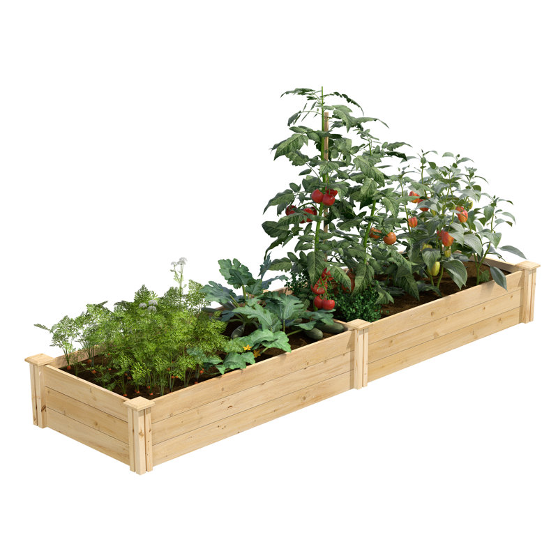 Katsuyoshi Wood Raised Garden Bed, 10.5" H x 96" W x 24" D, Cedar