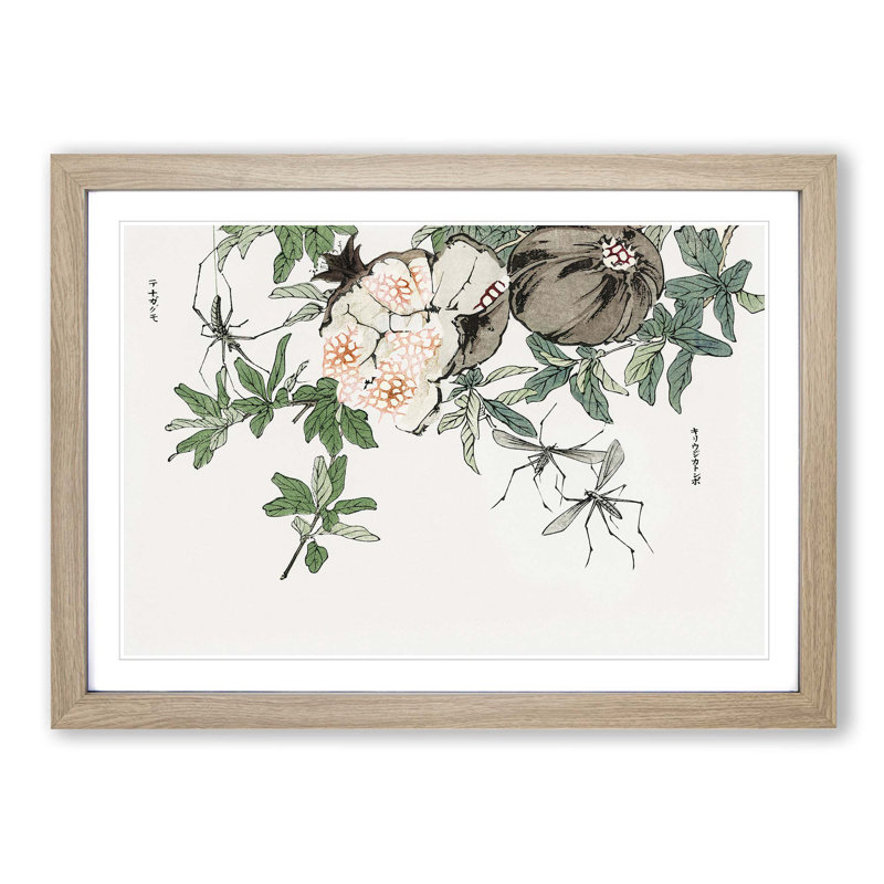 Pomegranate by Morimoto Toko - Picture Frame Painting Print, Oak, 40cm H x 60cm W x 2cm D