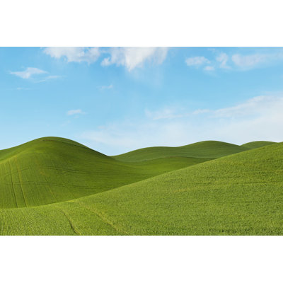 Farmscape Photo III by James McLoughlin - Photograph