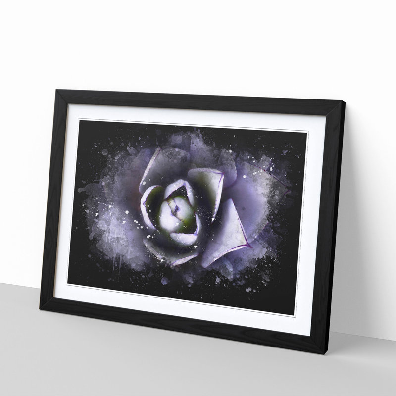 Lilac Succulent Plant Paint Splash - Picture Frame Graphic Art, 24cm H x 33cm W x 2cm D, Black Framed