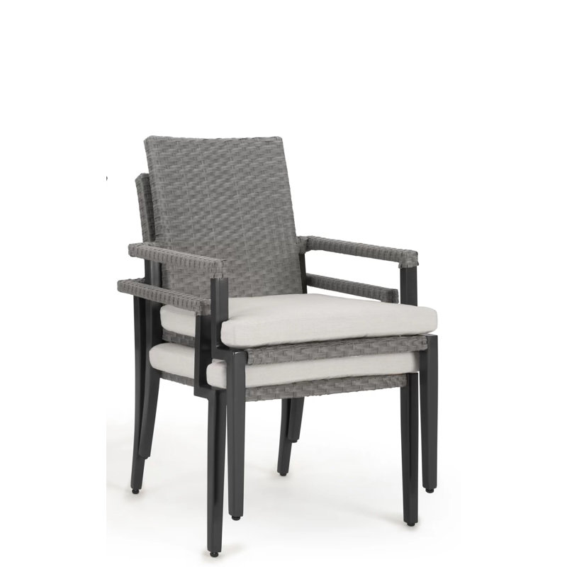Outdoor Contemporary Set Of 2 Arm Dining Chairs And Sunbrella Cushions - Sunbrella Canvas Flax