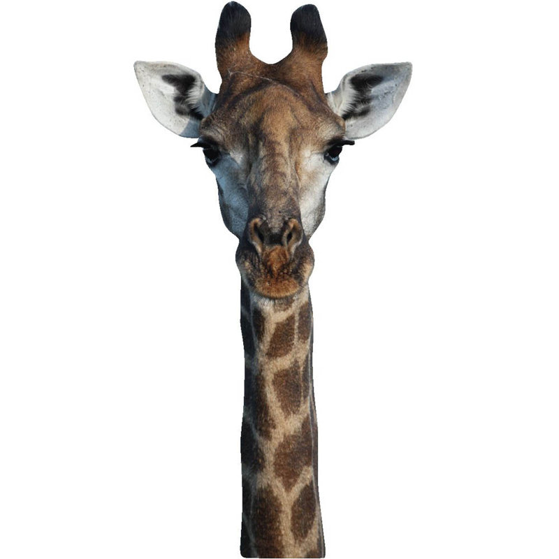 Décalcomanie murale giraffe , H 72 po x l 36 po