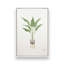 Présentoir à plantes, lot de 3 impressions-912982760-912982766-912982757