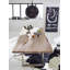 Freeform Acacia Rectangular Wood Top Dining Table