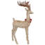 Cerf champagne