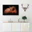 Highland Cow In The Shadows - Wrapped Canvas Painting-55359989