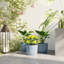 Pot Planter-523822693