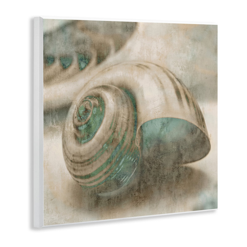 «Centered Sharkeye Seashell Texture patiné bleu clair» par Ziwei Li - impression d'art graphique