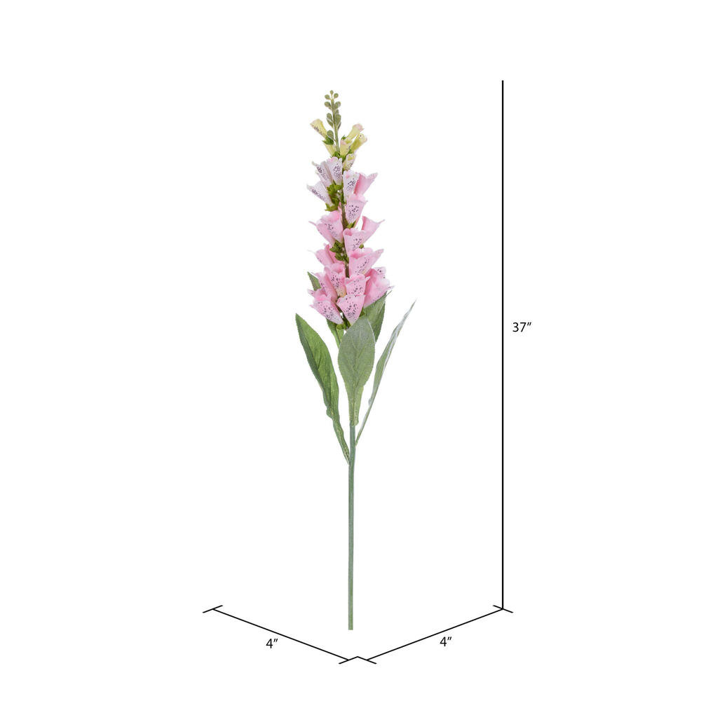 Fuchsia Stems, Pink