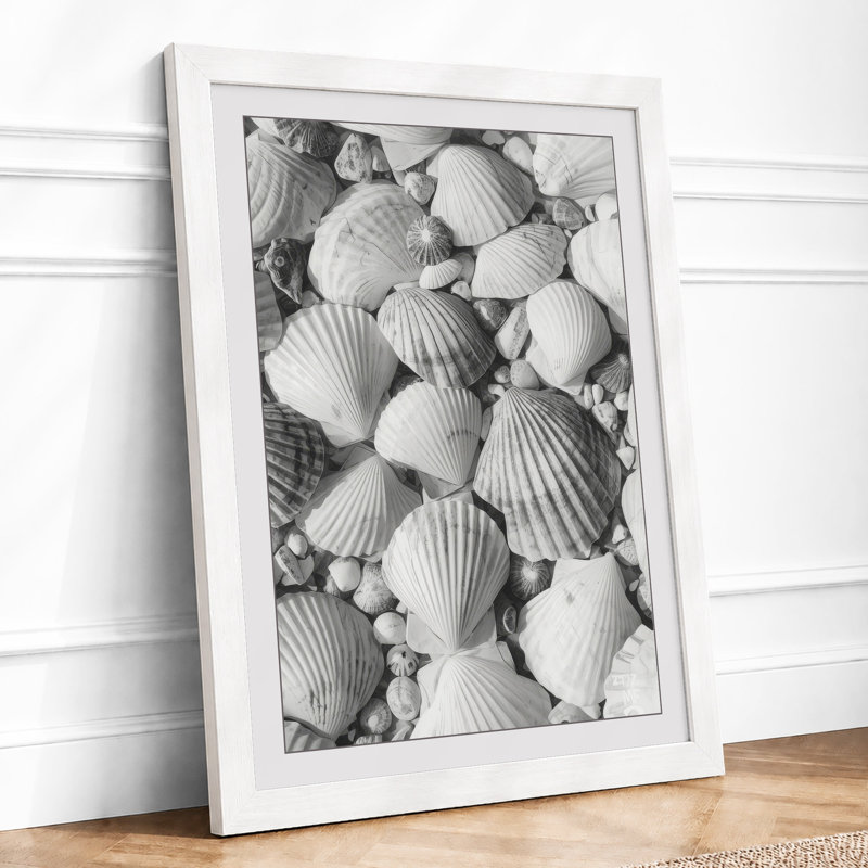 Scallop Shell Rhythms Minimalist - Framed Print, A1 - 84.1 x 59.4 cm, White