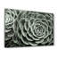 Decorative Tempered Glass Painting