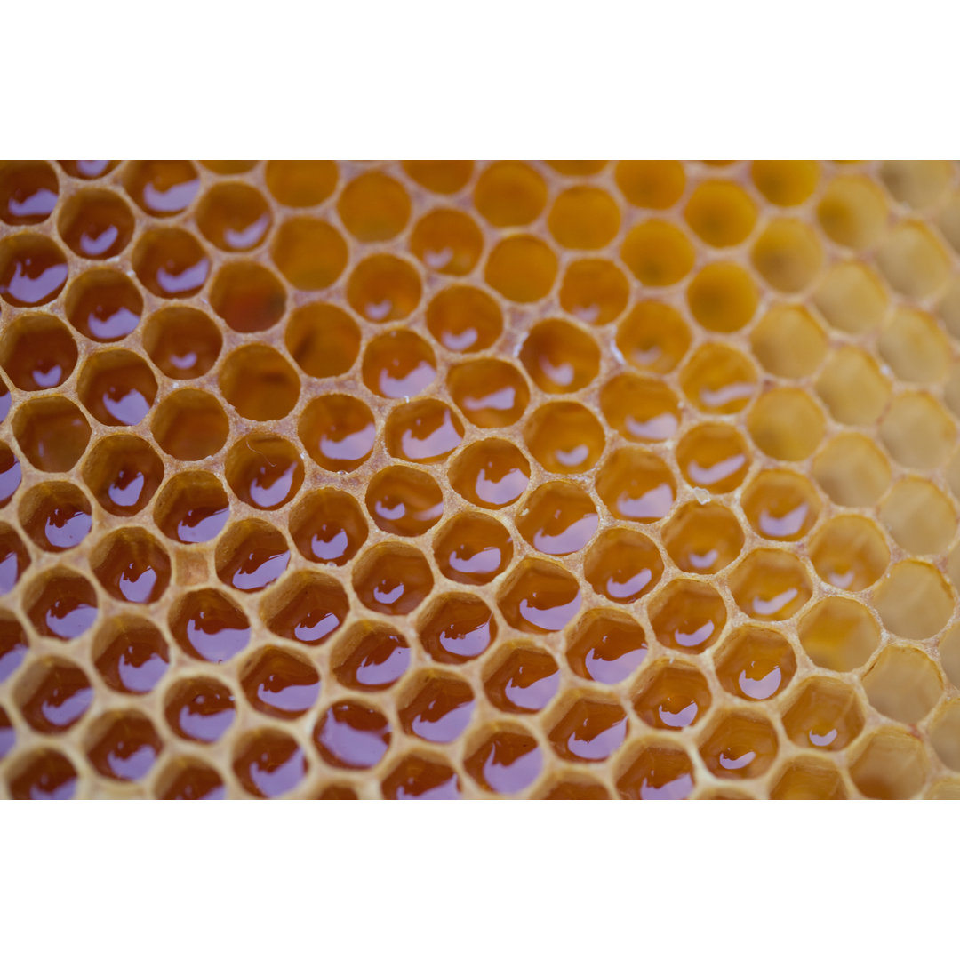 Honeycomb - Kunstdrucke auf Leinwand mit Wabenmuster