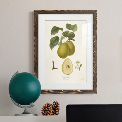 Cadre rétro de qualité supérieure Vintage Pears III prêt à accrocher