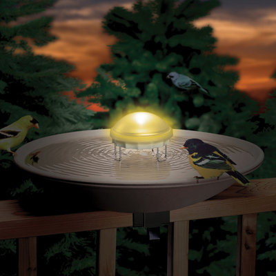Bird Bath Wriggler Or Bubbler