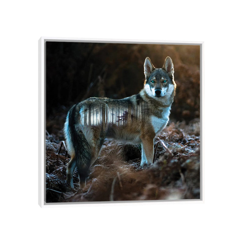 Wolf by Paul Haag - Print on Canvas, 45.72 cm H x 45.72 cm W, White Framed