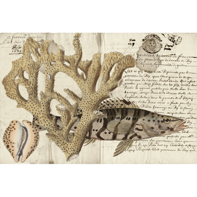 Sealife Journal II - Wrapped Canvas Print, 30cm H x 46cm W