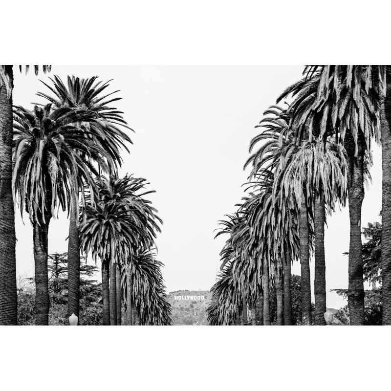 Morgan J Hartley - No Frame Print on Canvas, 61cm H x 91cm W x 3.81cm D