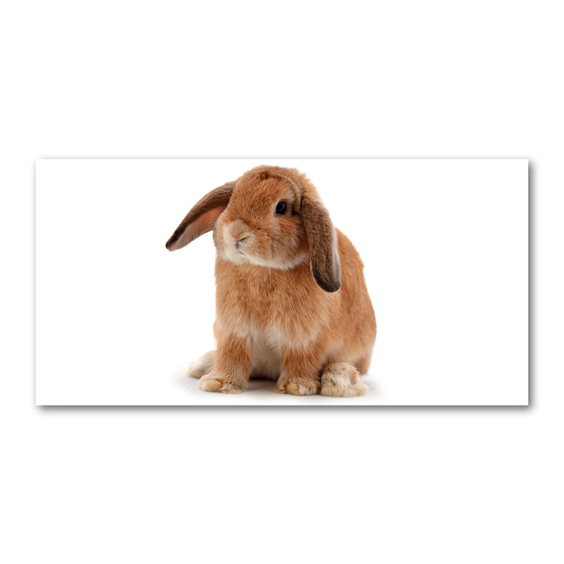 Red-Haired Rabbit - Wrapped Canvas Print