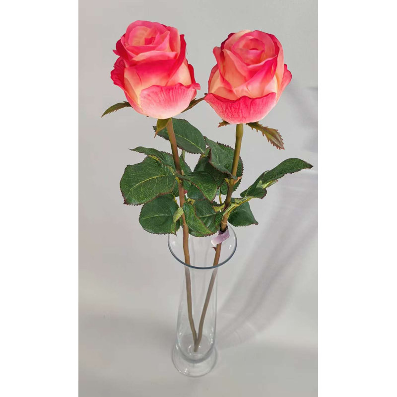 Vaporisateur pour boutons de rose HOLLAND 31 po, Red
