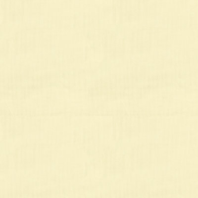 Basics Fabric