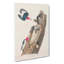 Woodpeckers by John Audubon - Wrapped Canvas-55323942