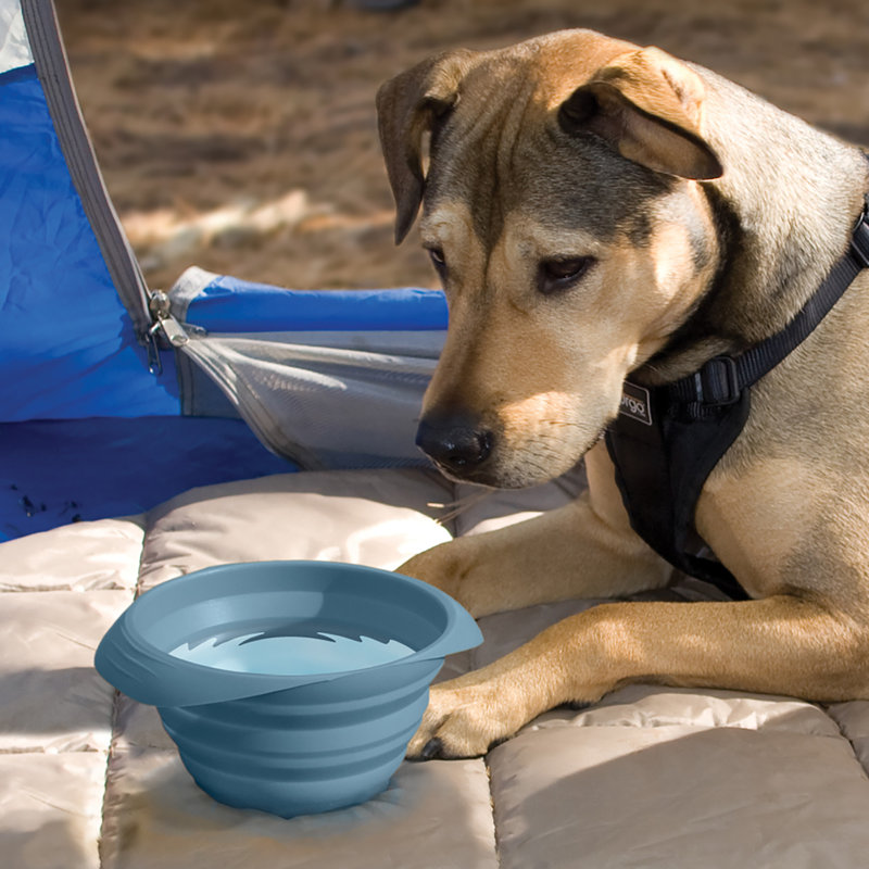 Collaps-A- Bowl, Blue