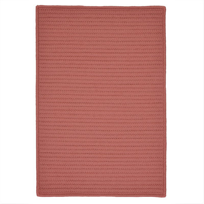 Indoor / Outdoor Rug