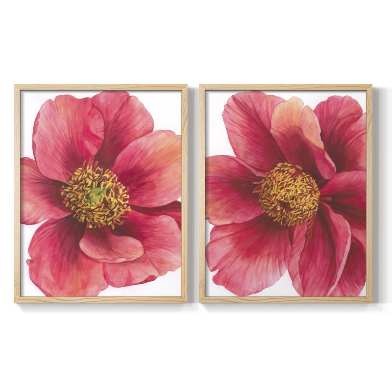 Pivoine arborescente I - impression encadrée de qualité supérieure - prête à être accrochée - aucun clou requis - aucun clou requis