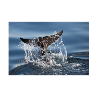 Bolog C.S. Tjandra Splash Canvas Art