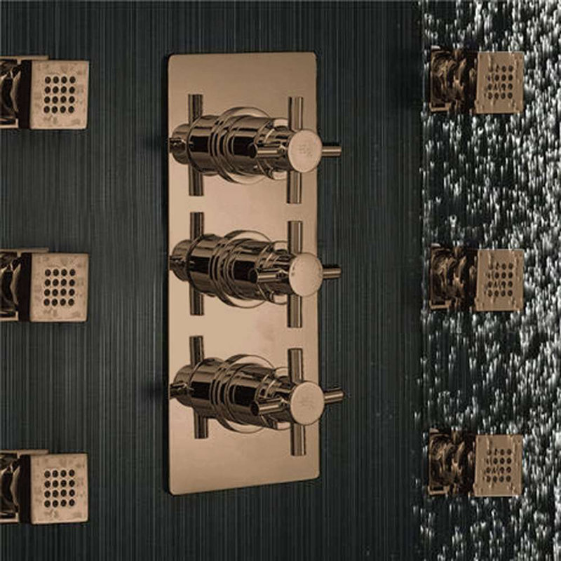 Reno Ceiling Mount Shower Head Set with 6 Body Massage Jets, 3" H x 16" W