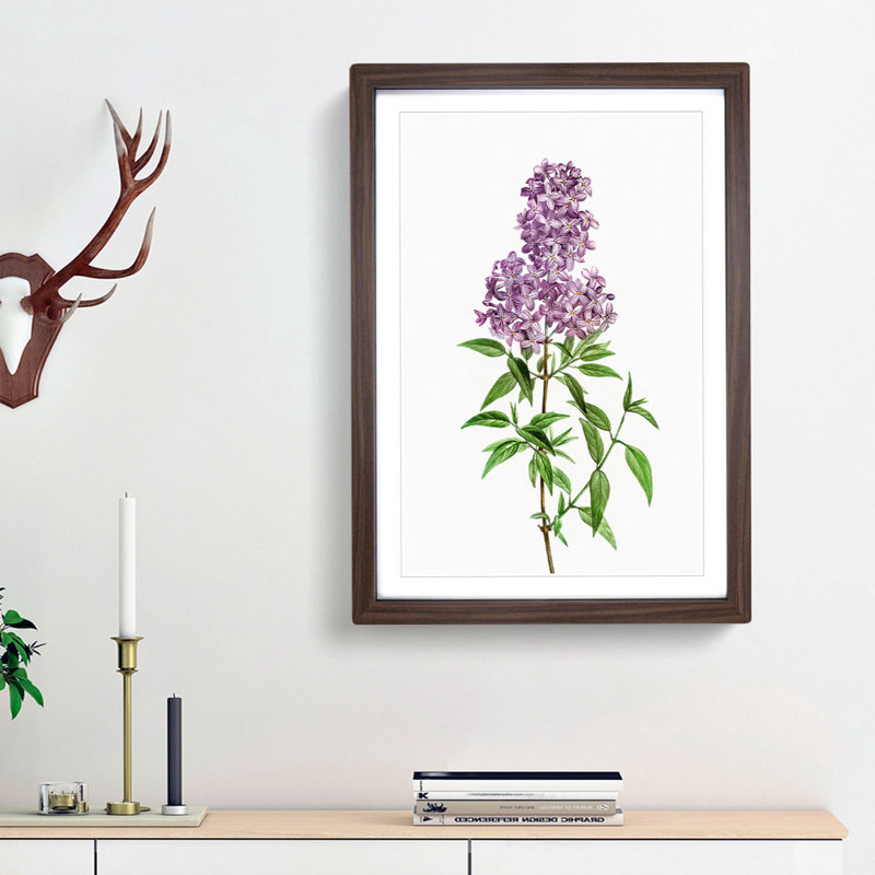Persian Lilac Flowers by Pierre-Joseph Redoute - Picture Frame Painting Print, 48cm H x 36cm W x 2cm D, Walnut Framed
