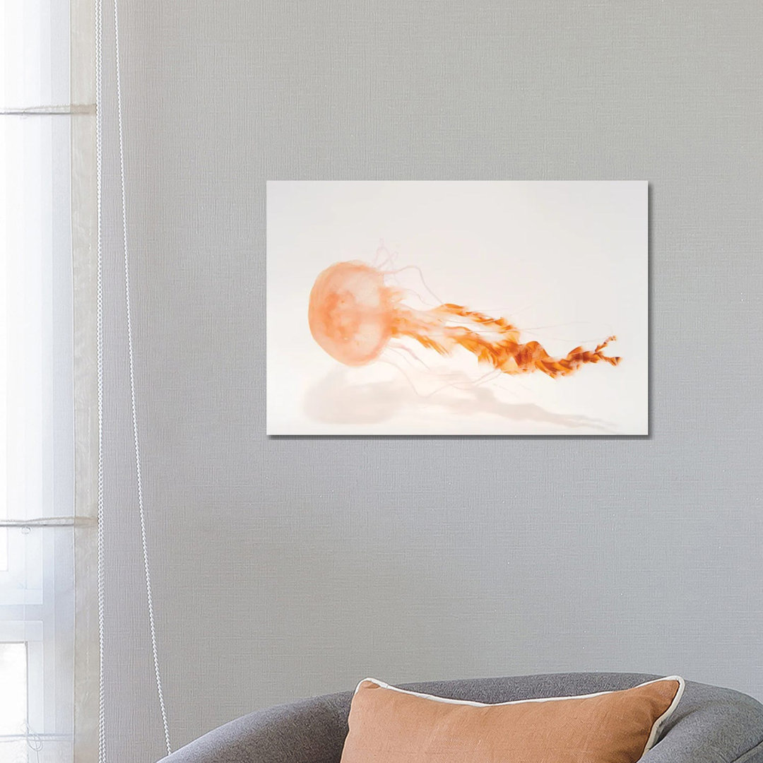 A Black Sea Nettle At The Monterey Bay Aquarium von Joel Sartore - Gallery-Wrapped Canvas Giclée