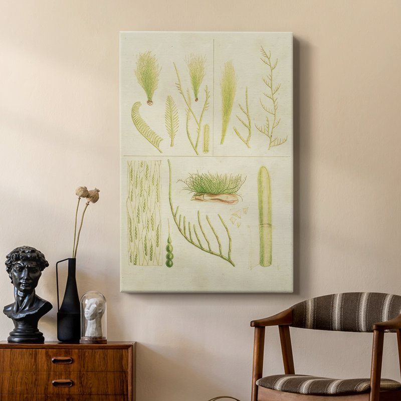 Herbe de mer rétro VI - galerie Cavas sur mesure