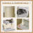 106.68cm H Cat Tree